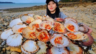 Catch wild scallops in France, 10 pounds in half an hour, garlic charcoal grill taste great!