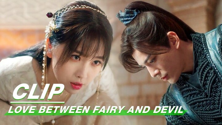 Shangque Greets His Moon Queen Sincerely🤣  | Love Between Fairy and Devil EP29 | 苍兰诀 | iQIYI