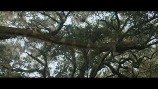 FIFTY FEET PYTHON