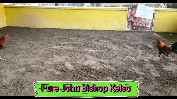 4lines Gamefarm Signature John.Bishop Kelso