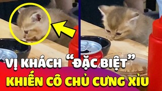 Phát hiện vị khách BÉ TÍ vào ăn nem nướng làm cô chủ KHÔNG NỠ TÍNH TIỀN vì quá đáng yêu 😍 Gâu Đần