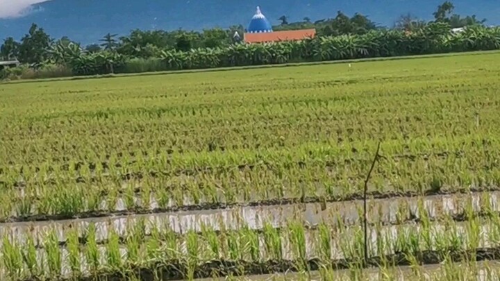 Iseng2 video in gunung malang dari sidoarjo