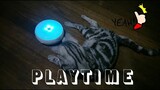 Cat PLAYTIME! | Cat Vlog #4