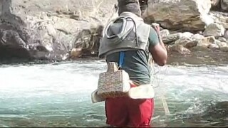 Cast Net Fishing in Nepal | Himalayan Trout Fishing in Nepal | Asala Fishing |