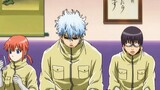 [Gintama] Can you believe that Gintoki and Kagura actually have to clean a three-meter-diameter hive