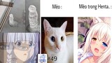 Ảnh chế Anime #49 Cháu chọn Chơi  Cô hay chơi game - Meme Baka