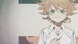 [MAD] "Desperado" [Yakusoku no Neverland]