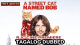 A SYREET CAT NAME D BOB TAGALOG DUBBED COURTESY OF RJC CINE PREMIERE