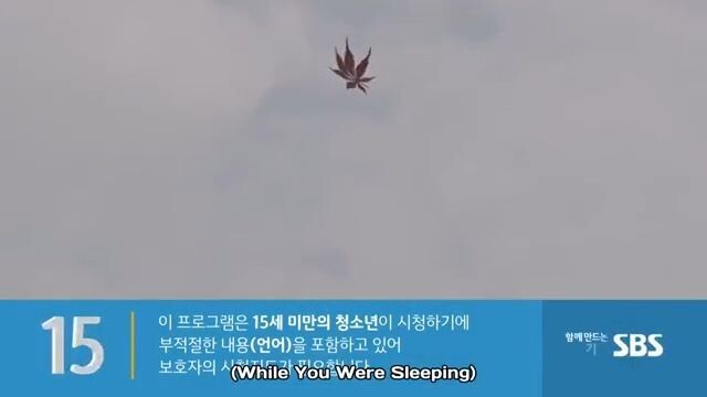 While You Were Sleeping Ep. 31