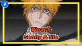Bleach|[Kurosaki ichigo]Even if you give up your sanity and life_1