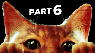 STRAY PS5 Walkthrough Gameplay Part 6 - THE EYES (FULL GAME)