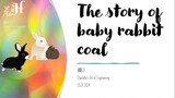 The story of baby rabbit coal