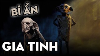 GIA TINH - GIẢI MÃ BÍ ẨN | Harry Potter Series