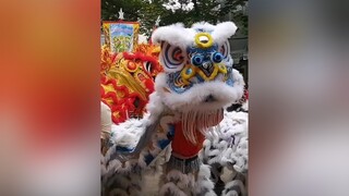 mualan mualansurong liondance mualankhaiquang