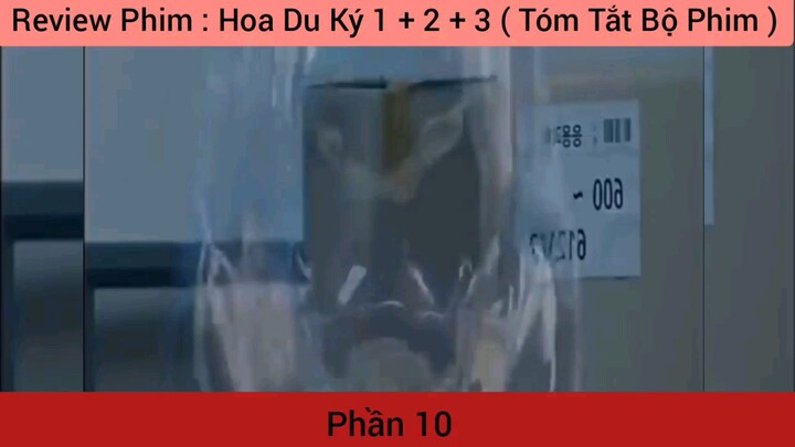 review phim hoa du ký phần 10