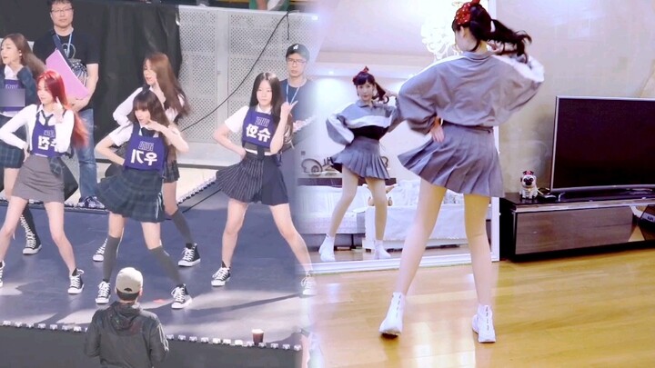 See Tinh's original choreography leaked the family members' "Ding Ding Dang Dang Zero Violation Vers