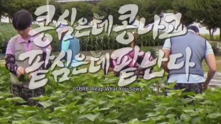 GBRB: Reap What You Sow EP 02 English sub