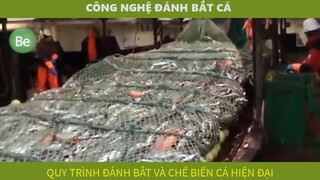 be3-4 - công nghệ đánh bắt cá hiện đại