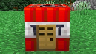 What's inside a TNT