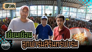 เยี่ยมเยือนลูกฟาร์มสิรินทร์ฟาร์ม - [สิรินทร์ฟาร์ม] EP.44