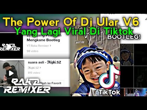 INI YANG KALIAN MAU? The Power Of Dj Ular V6 FT. RSTUREMIXWG