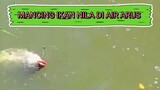 Mancing ikan nila di air arus !!! #mancingikannila