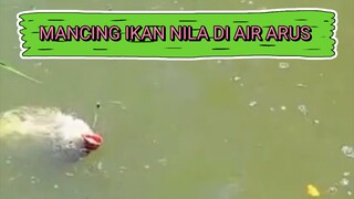 Mancing ikan nila di air arus !!! #mancingikannila