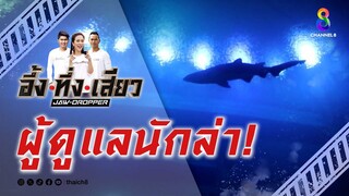 ผู้ดูแลนักล่า! | อึ้ง ทึ่ง เสียว