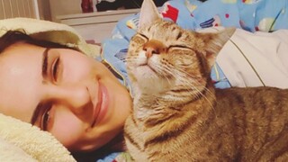 If you want to LAUGH, YOU NEED A CAT!   Funny Cat And Human Moments