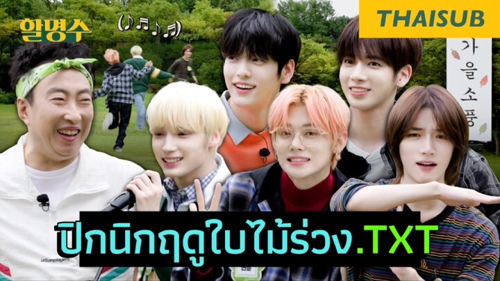 [THAISUB] ใครขัง TXT ไว้ที่ไฮบ์เนี่ย(?) วิ่งกันขน🐶ปลิวว่อนไปหมดแล้ว | Halmyungsoo ep.152