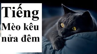 Con Mèo, Tiếng Mèo kêu nửa đêm. The Cat, The Midnight Meow of the Cat.