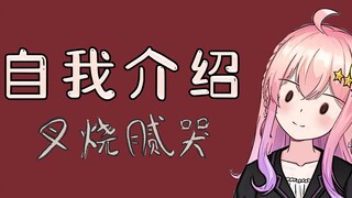 【自我介绍】哇，我从未见过如此平凡的虚拟阿婆主！