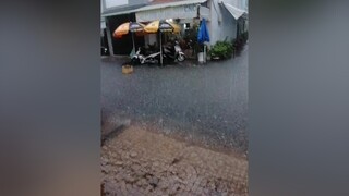 sợ mưa ngập nước vô nhà quá ,mà nhiều con gián vô nhà đập chết hết mẹ luôn troimua lulut muatoqua duacovydi