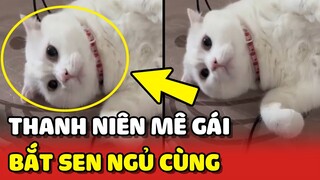 Bé mèo trắng MÊ GÁI đến mức phải ngủ cùng Sen thì mới chịu 😂 | Yêu Lu