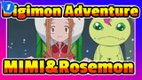 [Digimon Adventure/Tear Jerker] MIMI&Rosemon, Reminiscing Childhood_1