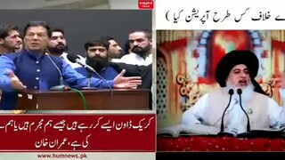 allama saad hussain rizvi Clips