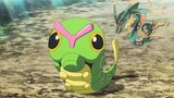 [Pokémon Battle of Gods] Unbelievable, green caterpillars can also beat Lie Kongzai?