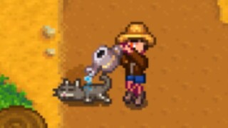 [Stardew Valley] Tôi là vua về âm lượng, tôi sẽ không rời khỏi Stardew Valley!