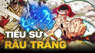 ONE PIECE | RÂU TRẮNG LÀ AI? BỐ GIÀ HẢI TẶC VĨ ĐẠI CỦA VÙNG BIỂN GRANDLINE!