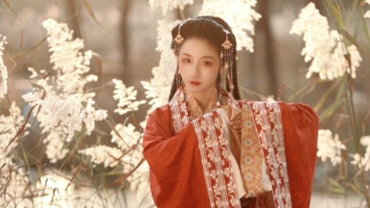 我不允许还有人没拍过芦苇荡