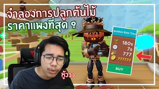 Roblox : Tree Planting Simulator จำลองการปลูกต้นไม้สนุกจนปลดล็อคต้นไม้สุดท้าย EP.1