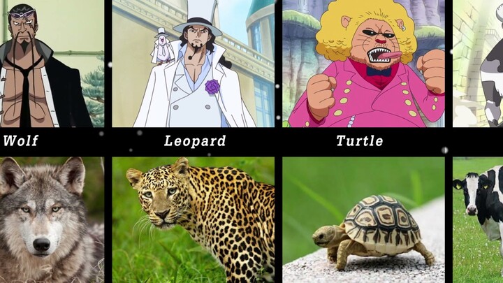 One Piece All Zoan Type Devil Fruits (Include Ancient & Mythical) Users in Real World Form