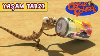 Oscar Çöllerde🦎 _ Yaşam Tarzı _ minika