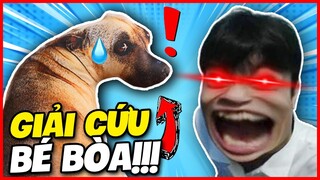 (SAVE THE DOG) HÀNH TRÌNH ĐI GIẢI CỨU ĐỒNG LOẠI BÉ BÒA CỦA HIẾU BALEN !!!