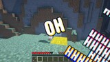 Minecraft: Một bản mod được tạo ra bởi người hâm mộ số một của Dream. Sau khi chơi nó, tôi nhận ra rằng anh ấy thực sự là một người hâm mộ da đen!