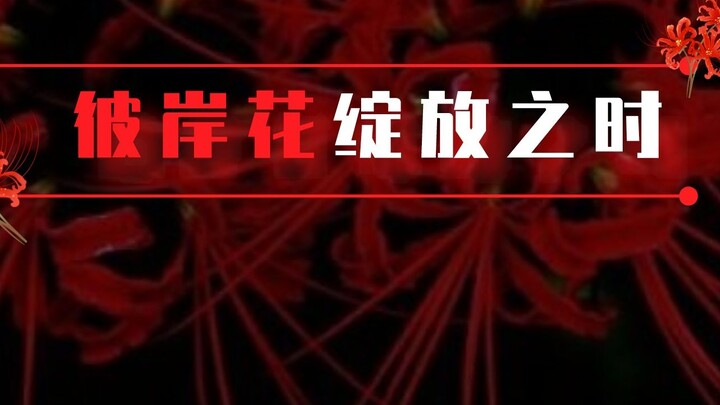 [Infinite Flow Running Group] When the Red Spider Lily Blooms Episode 1丨Time is Money