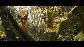 The Fox and the Bird - _HD