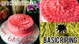 Basic piping | simple piping for beginners |practice makes perfect | Yummy cake | Viv Quinto