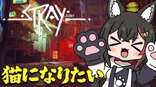 【STRAY】猫になれるゲーム・・？迷子の猫になってお家に帰りたい【ホロライブ/大神ミオ】