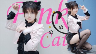 【Hu Que】The cat is stealing your heart♡Pink Cat is not cute at all (ฅ´ω`ฅ) super fierce!!!